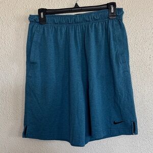 Nike Men's Teal Blue Athletic Shorts